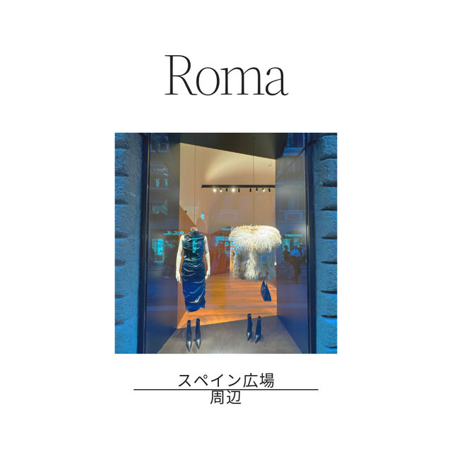 🇮🇹ローマに来たら絶対行きたい！トレビの泉⛲️✨