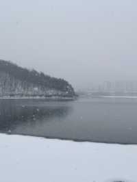 눈으로 뒤덮인 서울근교 드라이브+산책로 추천❄️