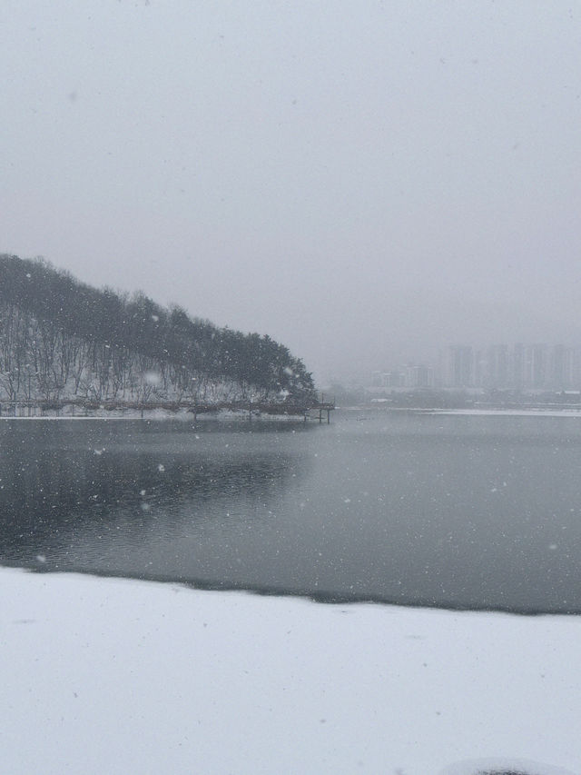 눈으로 뒤덮인 서울근교 드라이브+산책로 추천❄️