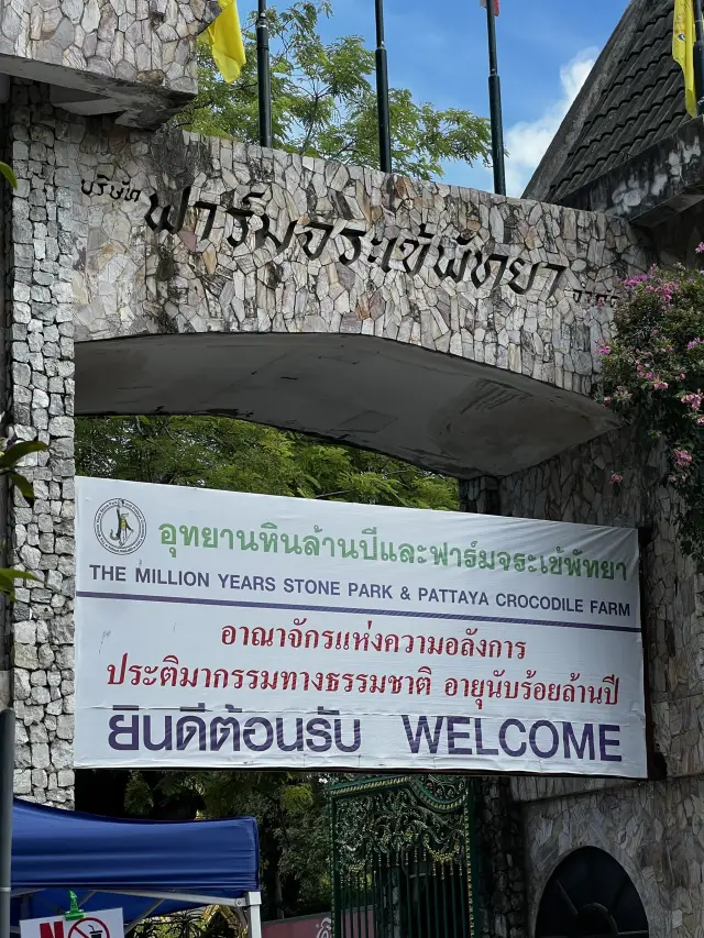 神奇的鱷魚農場