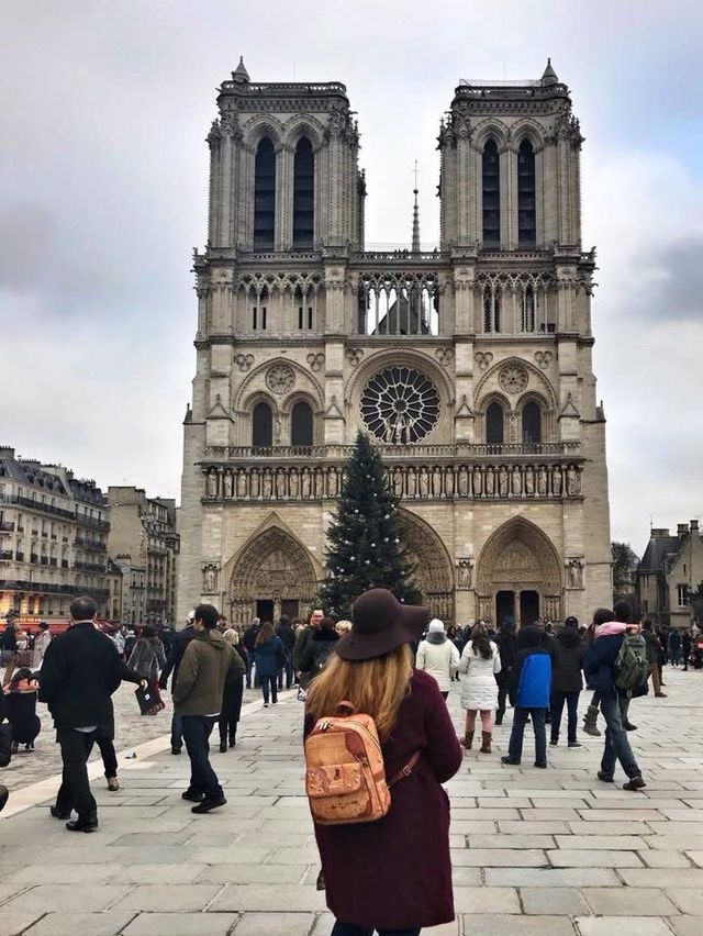 🇫🇷The Iconic Notre Dame Cathedral in Paris🇫🇷