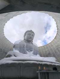 Half day trip to Hill of The Buddha 