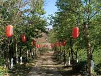บ้านรักไทย แมฺ่ฮ่องสอน ที่พัก ลีไวน์รีสอร์ท