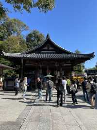 🇯🇵 Kyoto’s Beauty: Rising Sun Above the Crowds