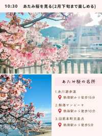  【保存版】熱海 1泊2日 春のひとり旅プラン(桜以外は夏秋冬も楽しめる)