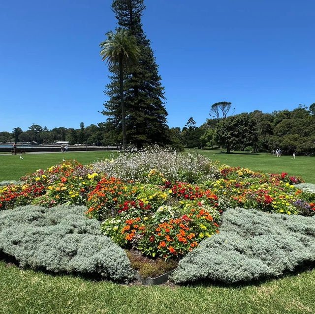 Tranquility in the Heart of Sydney: The Royal Botanic Gardens