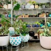 Botanical Bliss at Bar Botanik