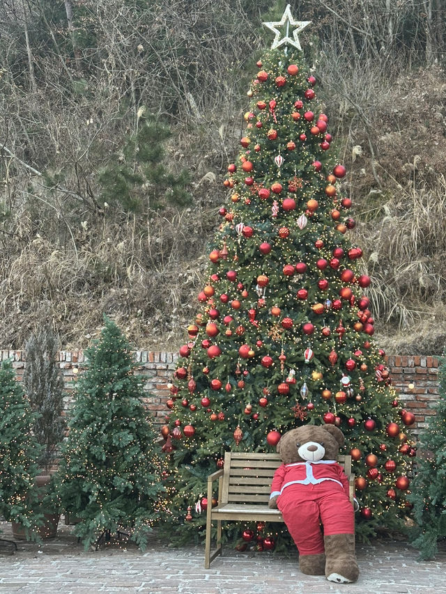 유럽 감성이 가득한 거제 카페 ‘메리 클리프’ 🎄♥️
