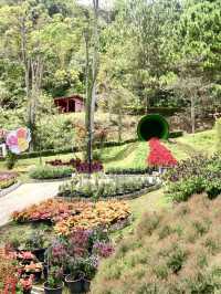 The Climate and Design @Betong Garden