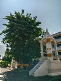 ไหว้พระวัดกลางเก่า จังหวัดสุราษฎร์ธานี