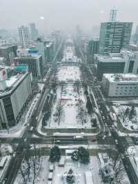 2 Days in Sapporo: A Winter Wonderland Adventure