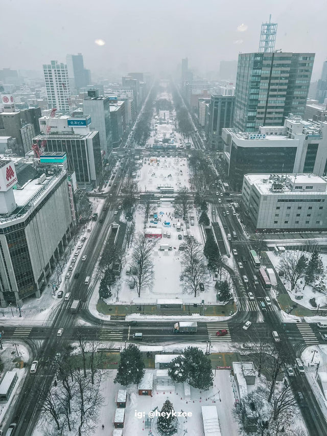 2 Days in Sapporo: A Winter Wonderland Adventure