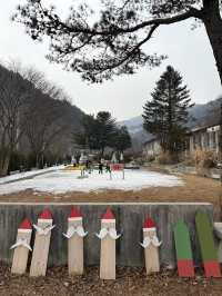 1박2일 춘천 여행시 필수 코스 추천 ‘오월 학교’🤎