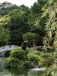 Zhishan Garden: A Hidden Gem of Classical Elegance in Taipei