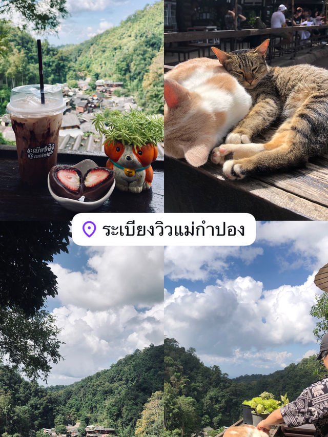 คาเฟ่ชิคๆในเชียงใหม่