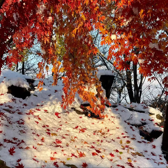 吉祥寺-白雪下朝鮮古剎