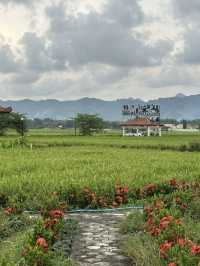Yogyakarta & Solo: A Journey Through Culture and Nature