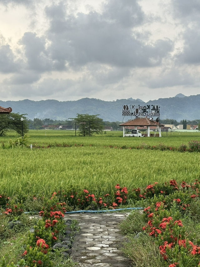 Yogyakarta & Solo: A Journey Through Culture and Nature