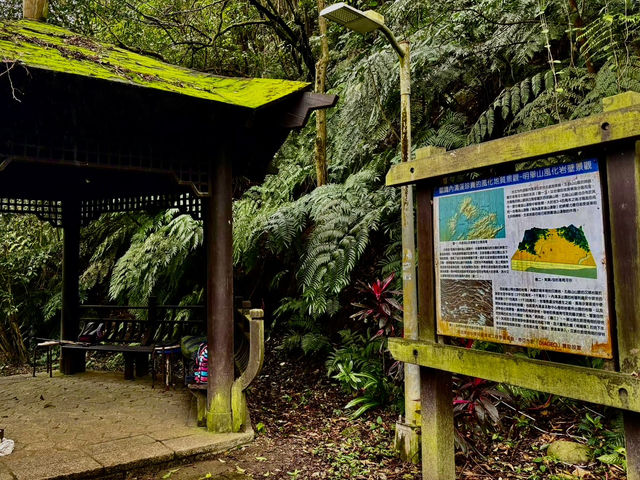 台北走春賞櫻的好去處~樂活公園及內溝溪步道