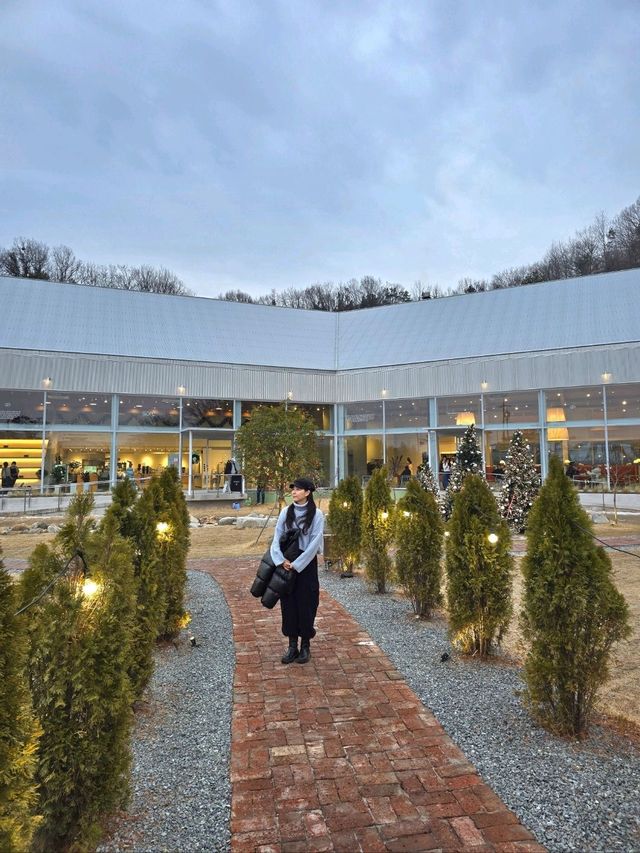 야외 대형트리존이 멋진 함안 신상카페🎄