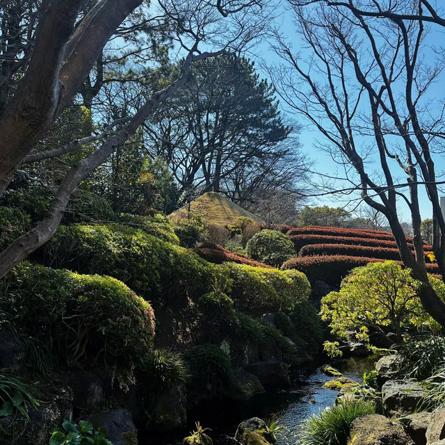 砧公園～尋找和風