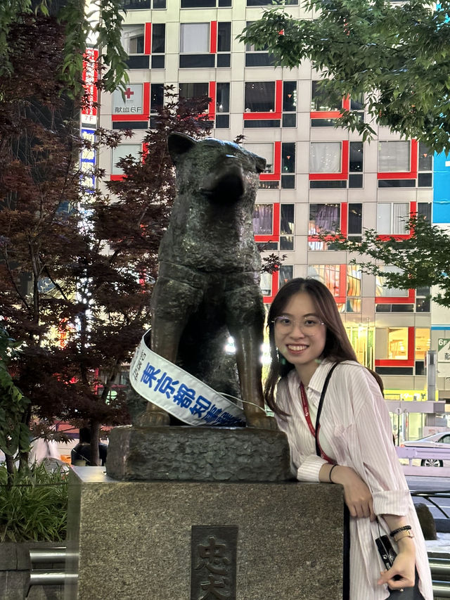Shibuya Crossing Madness