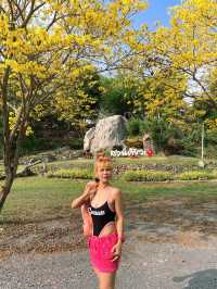 เหลืองอินเดี