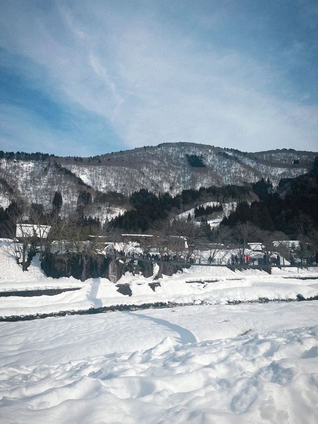 인생에서 꼭 한번 가봐야 할 겨울 여행지❄️