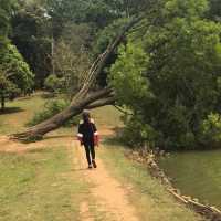 A visit to Kandawgyi National Gardens in Pyin Oo Lwin
