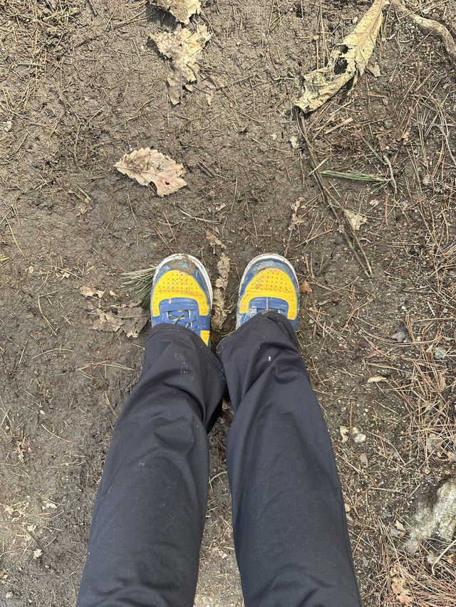 청계산 갔다가 겨울왕국 체험함…☃️🌿
