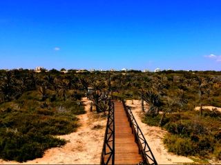 Guardamar del Segura is located on the coast of Alicante province