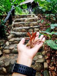 น้ำตกพรหมโลก | นครศรีธรรมราช