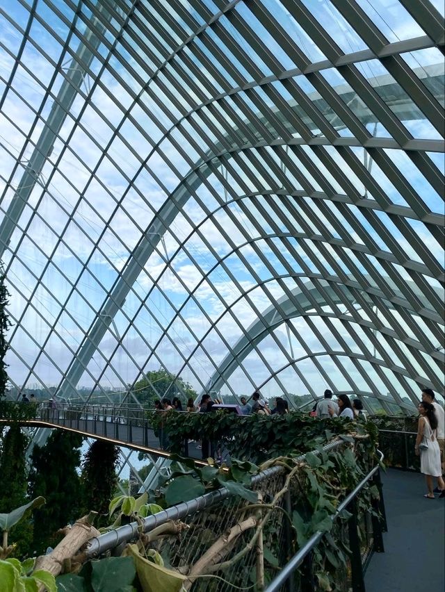 "Largest Glass Greenhouse in the World" (Flower Dome)