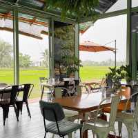 Grindsize Evergreen CNX • Chiangmai 