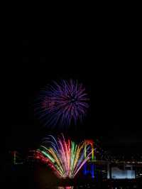 東京-台場冬季花火大會🎆