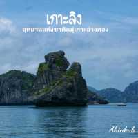 เกาะลิง ธรรมชาติทางทะเล