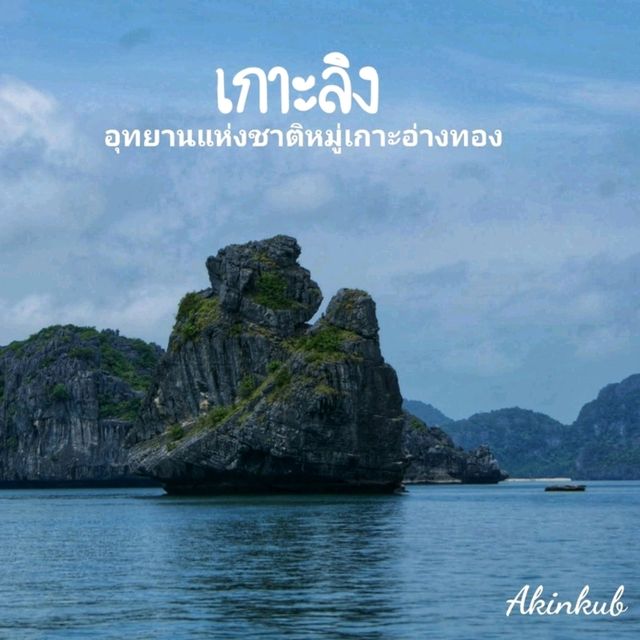 เกาะลิง ธรรมชาติทางทะเล