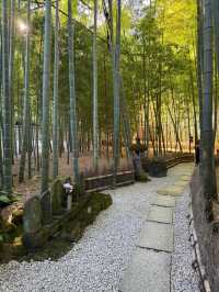 สวนไผ่เล็กๆที่วัด Hokokuji แถวๆ Kamakura