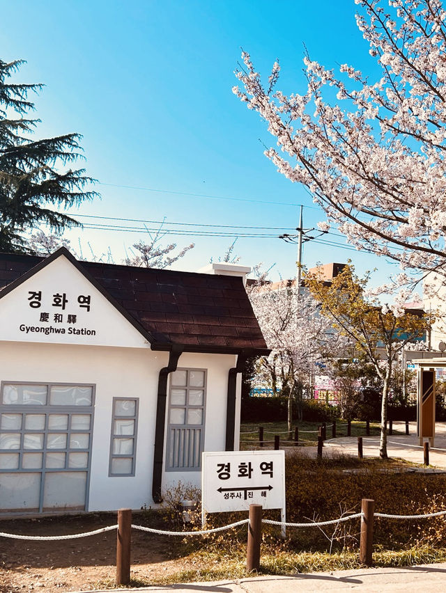 A Nostalgic Walk Through a Scenic Railway Park!