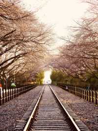 A Must-Visit for Train and Nature Lovers!