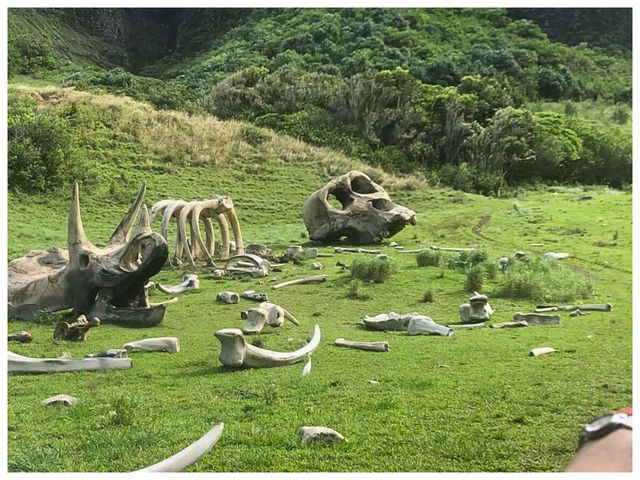 【ハワイ/オアフ島】ハリウッド映画やCM撮影地として人気の観光スポット＊クアロア・ランチ（KUALOA RANCH）＊