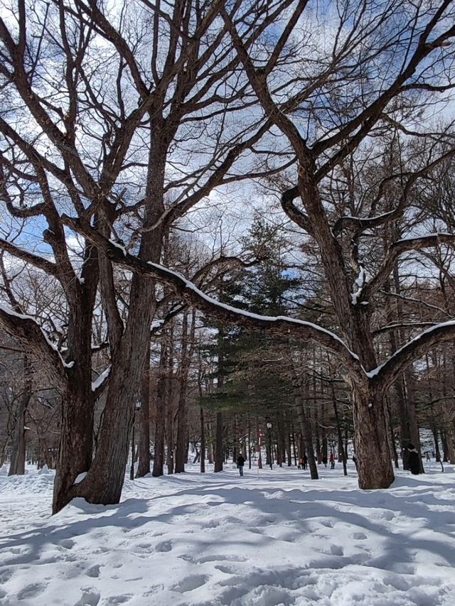 札幌春雪~圓山公園與北海道神宮