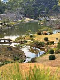 廣島｜泉水屋敷到縮景園 經過原爆悲劇後重現400年前庭園