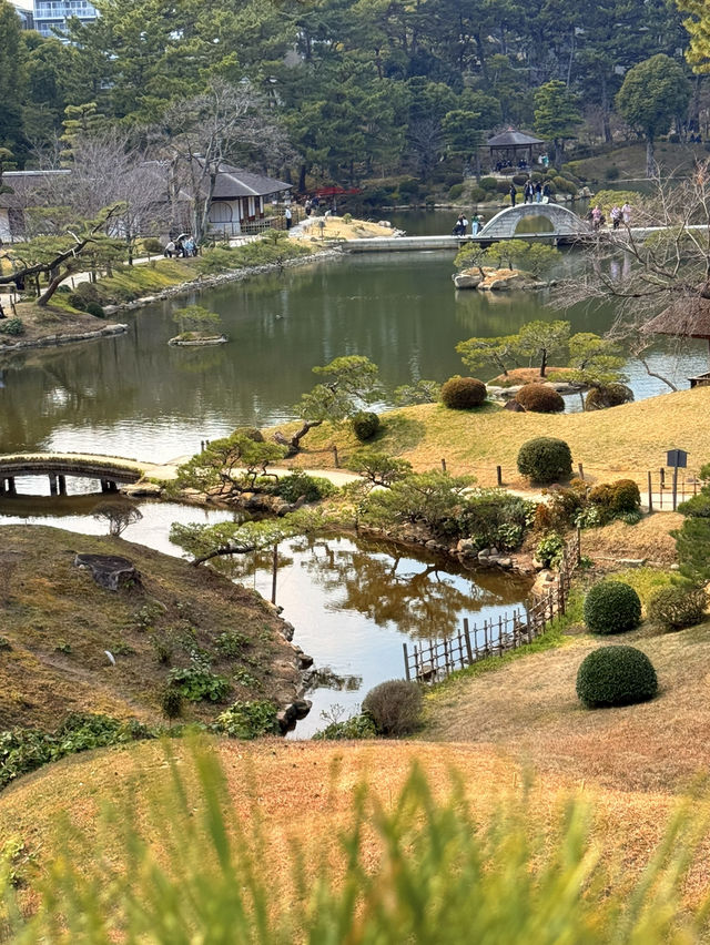 廣島｜泉水屋敷到縮景園 經過原爆悲劇後重現400年前庭園