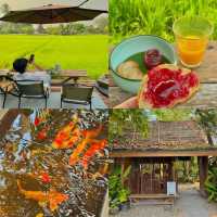 ที่พักกลางทุ่งนา #เชียงใหม่ ฟีลโคตรดี 🏠🛁🌾