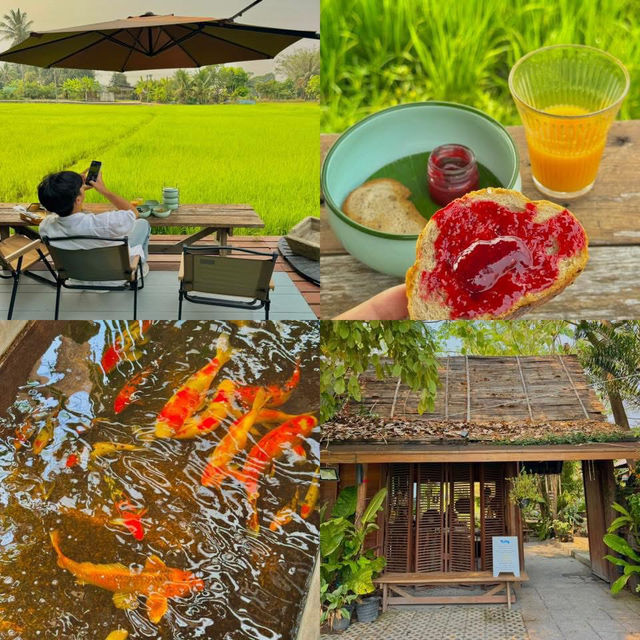 ที่พักกลางทุ่งนา #เชียงใหม่ ฟีลโคตรดี 🏠🛁🌾
