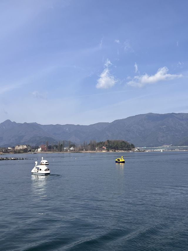 河口湖一日遊