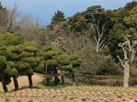 能古島海島公園：用不落幕的詩意花園