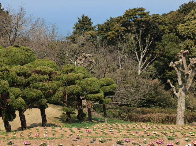 能古島海島公園：用不落幕的詩意花園