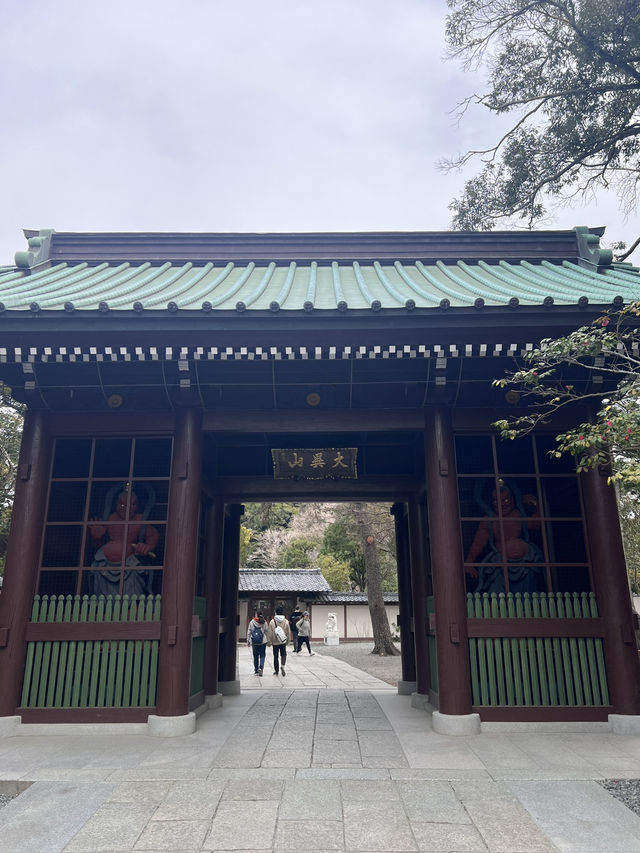 鎌倉大佛殿高德院
